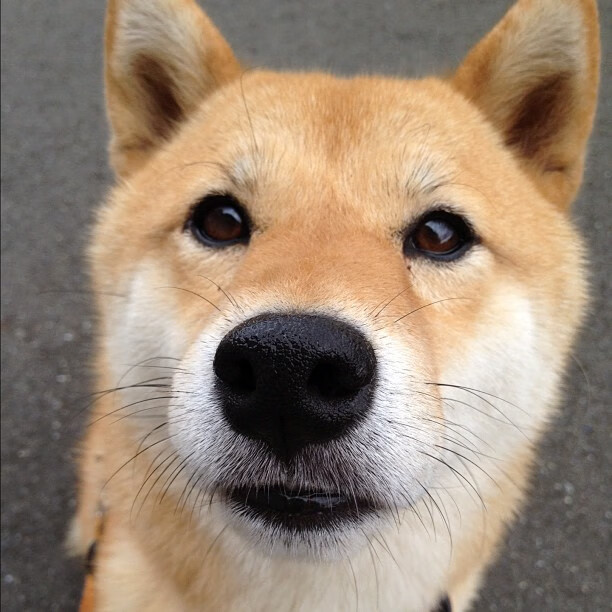 IM体育赛事直播入口-德布劳内绝境爆发，贝蒂斯加时鏖战逆转西班牙人